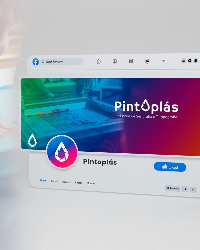 Pintoplás